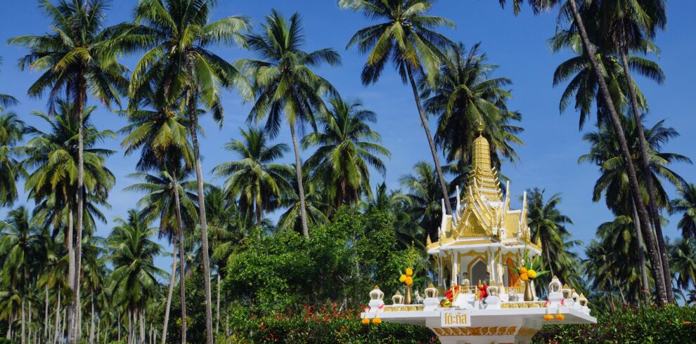 Sri Lanka Destination